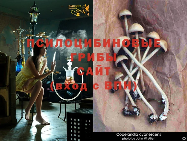 метамфетамин Белокуриха